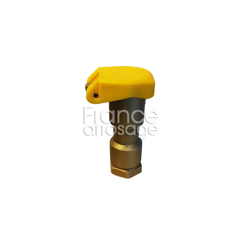 Clapet Vanne Bronze Verrou Compatible Rainbird F