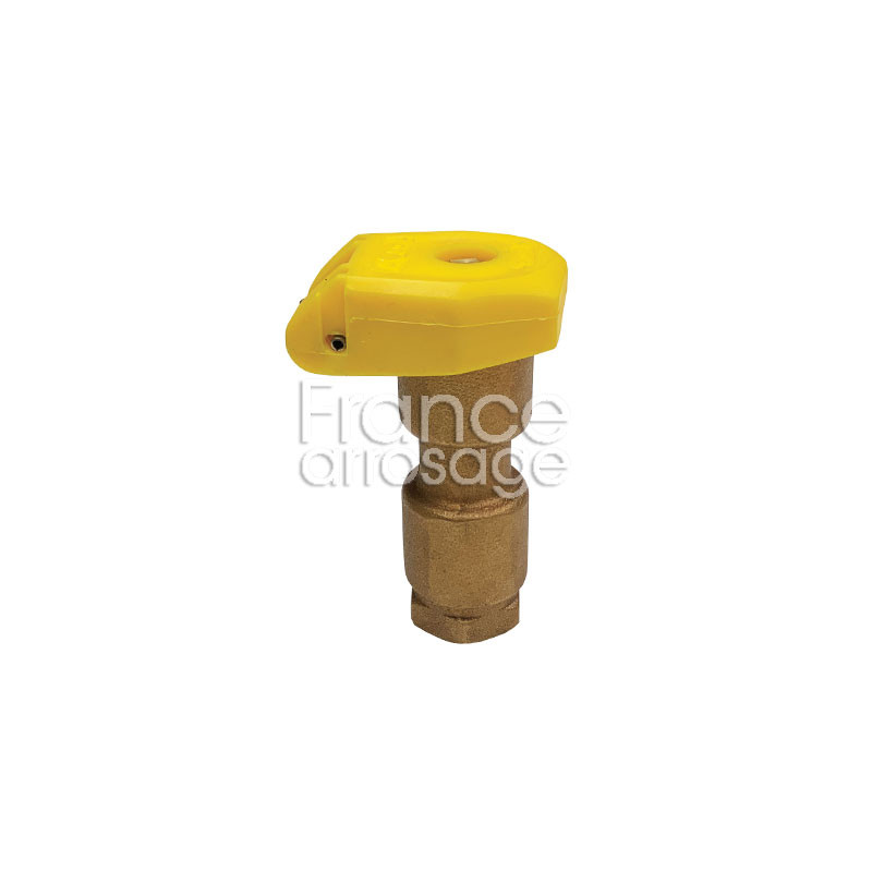 Clapet Vanne Bronze Compatible Rainbird F