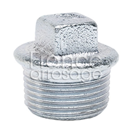 Bouchon fonte galva réf. 290 - 1/4" M