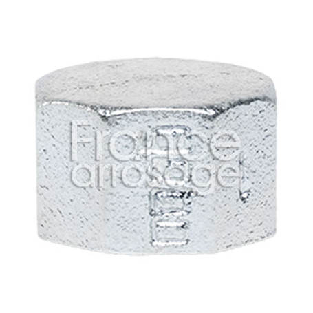 Bouchon fonte galva réf. 300 - 2" F