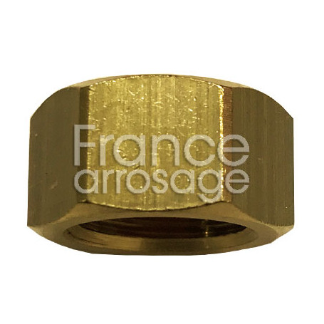 Bouchon laiton 1"1/4 F