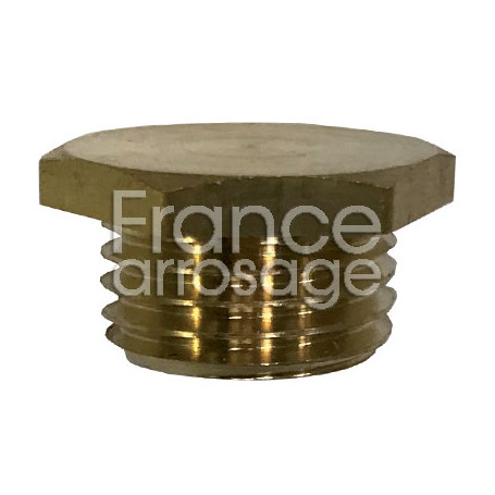 Bouchon laiton 3/4" M