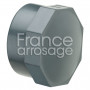 Bouchon PVC 1' F PLASSON