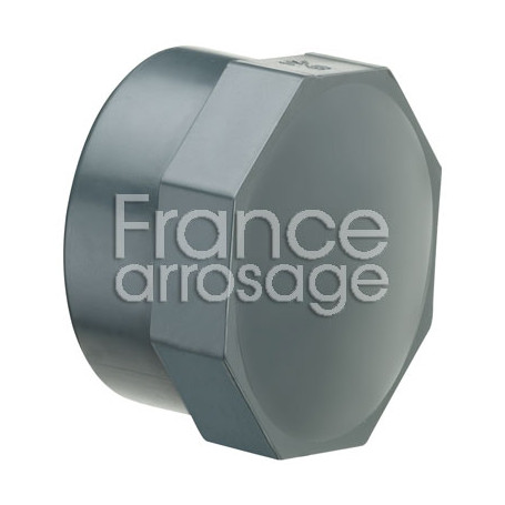 Bouchon PVC PLASSON 2" F