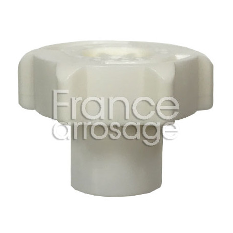 Buse LFX 300 jaune clair