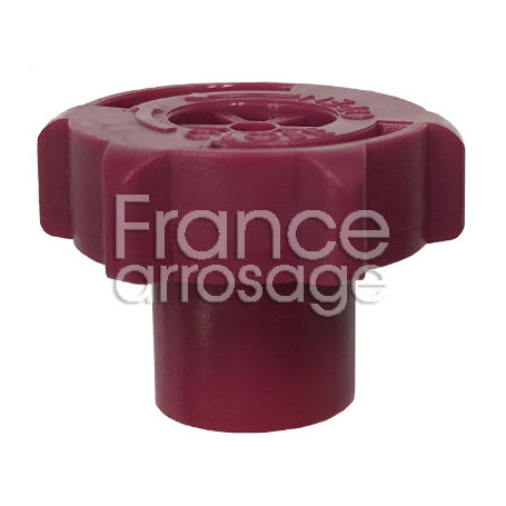 Buse LFX 300 violet clair