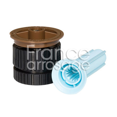 Buse RAINBIRD 12 van