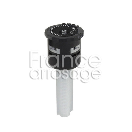 Buse TORO femelle pres,O-15 H