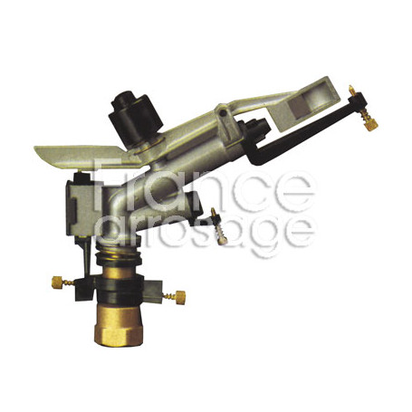 Canon secteur SIME Ibis 1" F