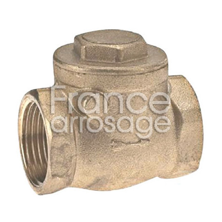 Clapet anti-retour à battant laiton 3/4" F