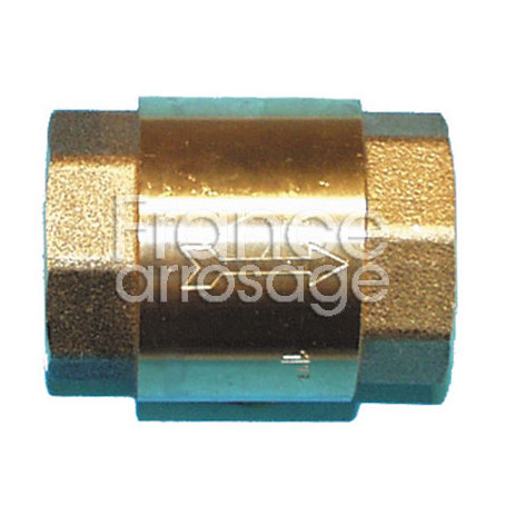 Clapet anti-retour Europa 3/4" F