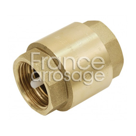Clapet anti-retour York 4" F