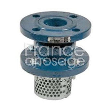 Clapet fonte FTE avec crépine acier DN 150