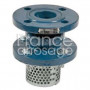 Clapet fonte FTE avec crépine acier DN 80