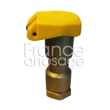 Clapet vanne bronze à verrou compatible RAINBIRD 1" F