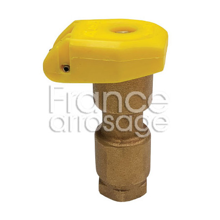 Clapet vanne bronze compatible RAINBIRD 3/4" F