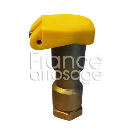 Clapet vanne bronze à verrou compatible TORO 3/4" F