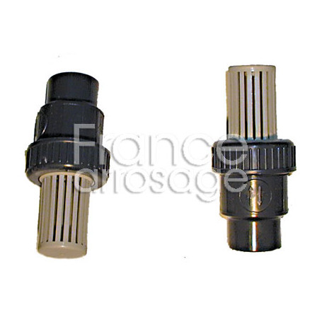 Clapet anti-retour avec crépine PVC 2"