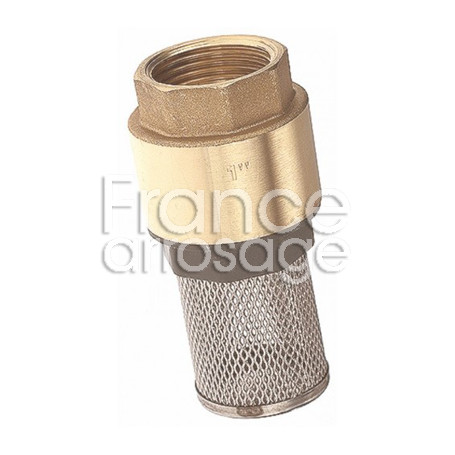 Clapet anti-retour York avec crépine 3/4" F