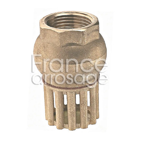 Clapet anti-retour avec crépine laiton 3/4" F