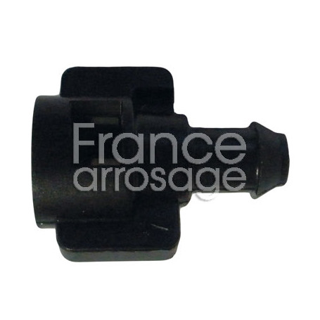 Embout F tête vipère 5 x 7 - NAANDANJAIN