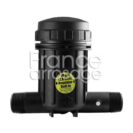 Filtre à panier régulateur de pression RAINBIRD IPRB100 - 75µ