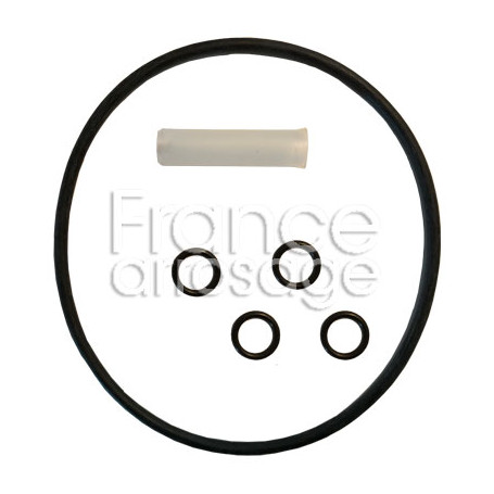 Kit Joints (cloche + moteur) DOSATRON - EMDI006VF