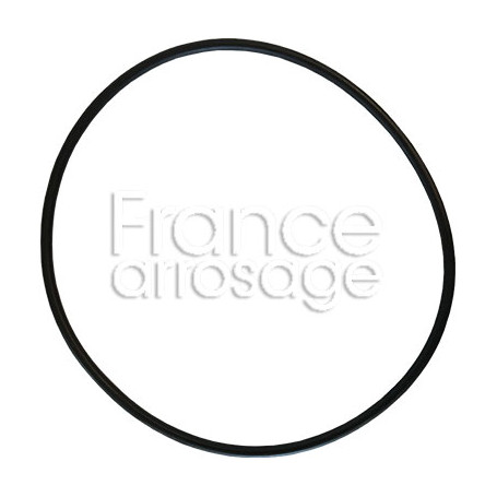 Joint torique DOSATRON - 20J008VF