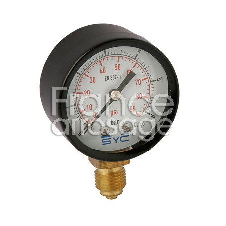 Manomètre sec radial inox Ø50 mm - 0 à 10 bars