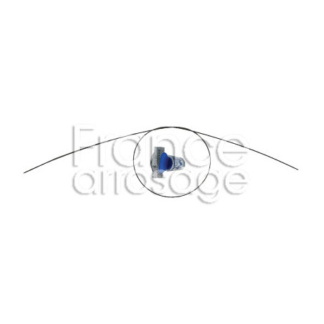 Plomb à sceller pour compteur