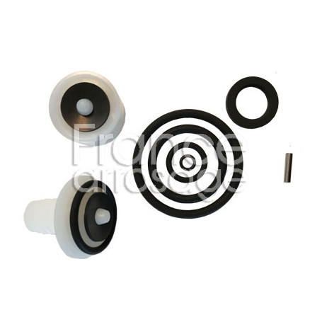 Ensemble joints + clapet DOSATRON - 20PJ030VF