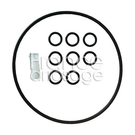 Pochette de joints moteur DOSATRON - EMDI011HT