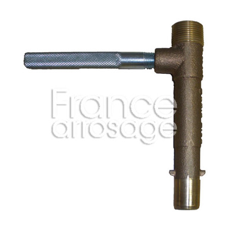 Prise clapet vanne bronze RAINBIRD 3/4" M