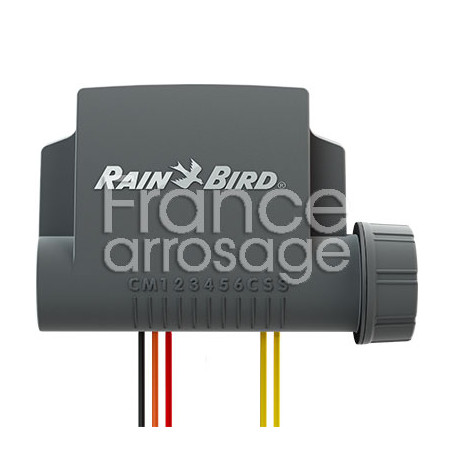 Programmateur à piles ESP-BAT-BT RAINBIRD 1 station