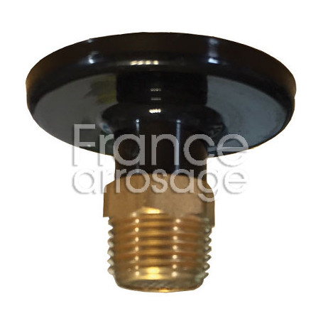 Purgeur automatique fin de ligne laiton 1/2" M avec filtre