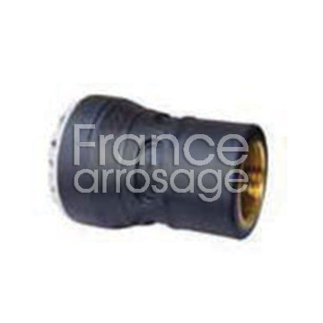Raccord droit taraudé laiton Série 1 PLASSON -  Ø25 x 3/4" FF