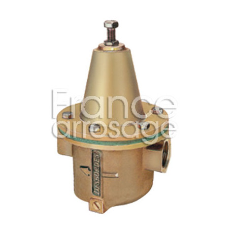 Régulateur DESBORDES 10 bis - 1"1/4 FF