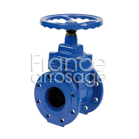 Vanne fonte à opercule revêtu EPDM DN65