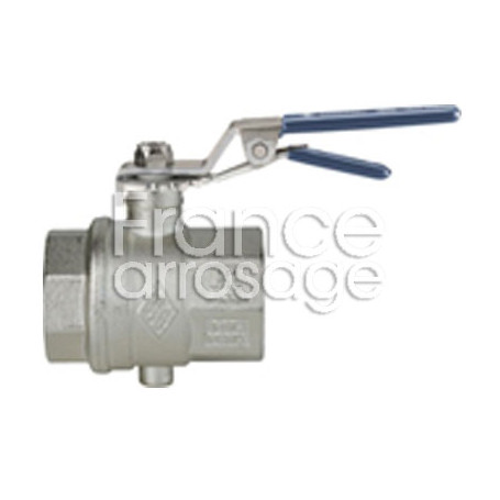 Vanne papillon EUROFLY poignée crantée 1" FF